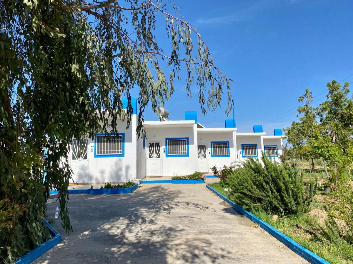 Elgreco Apartment, At Tigaki, Near The Sea "4" Buitenkant foto